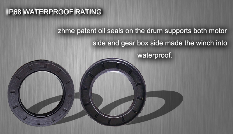 oil seals.jpg